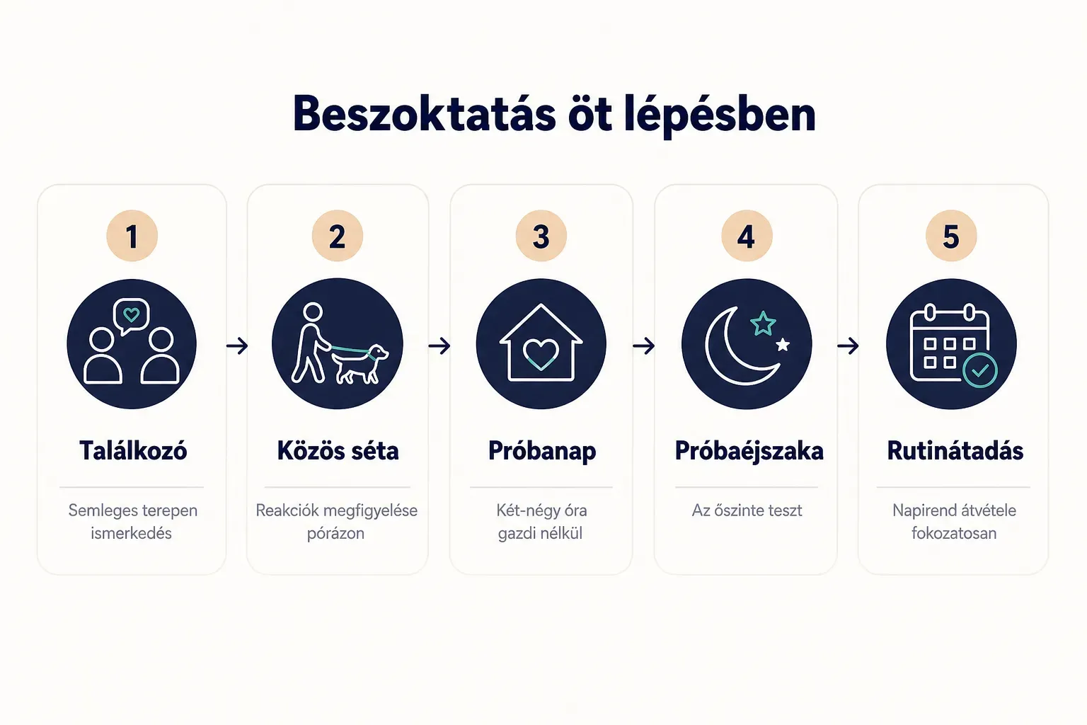 Step-by-step diagram, Beszoktatás öt lépésben. 1. Találkozó, Semleges terepen ismerkedés; 2. Közös séta, Reakciók…